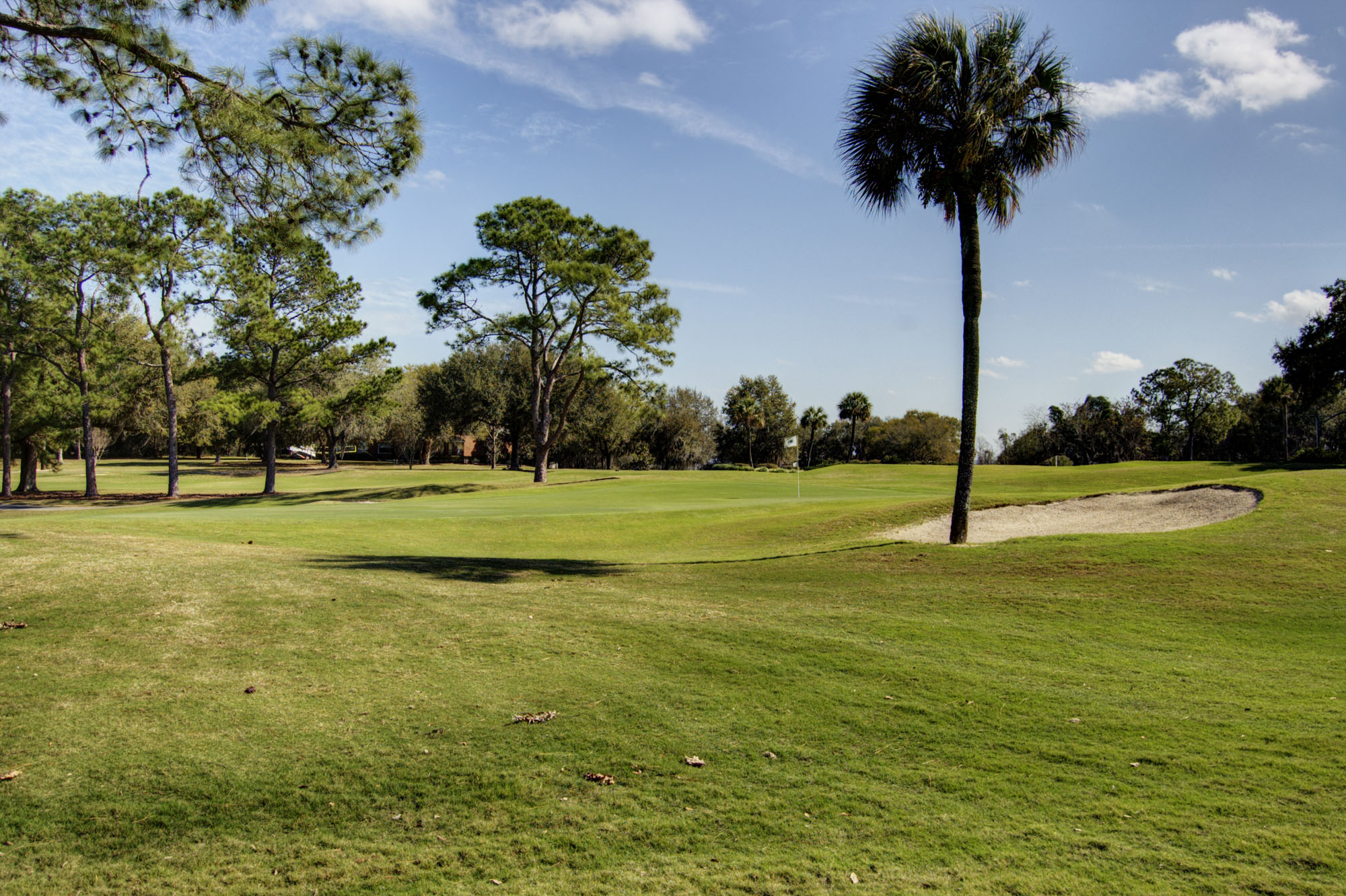 Meadowbrook Golf Club, Gainesville, Florida Golf course information