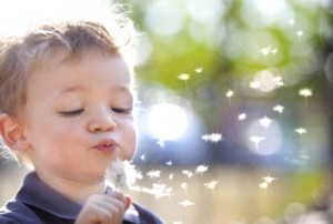 boy blowing dandelion