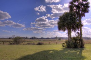 Paines Prairie View from Savannah Pointe SW Gainesville