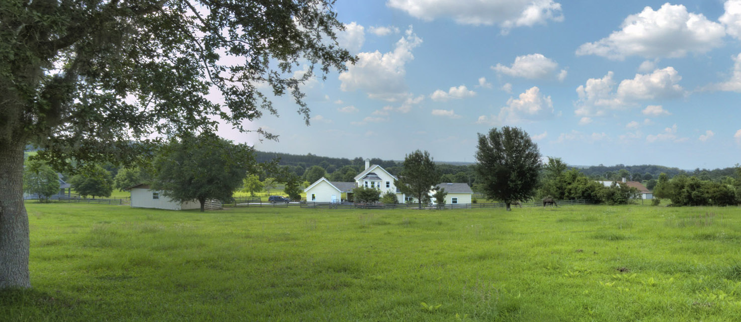 Paddock Gainesvilleian Gainesville FL Real Estate