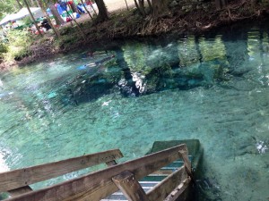 Ginnie Springs