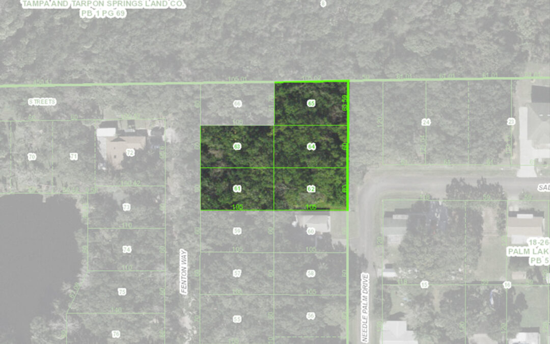 Sold in New Port Richey:  .7 Acre Lot